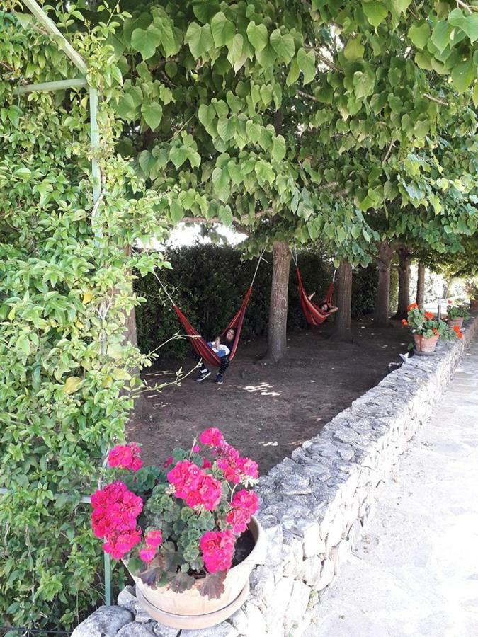 Villa Minerva Family Relais Alezio Εξωτερικό φωτογραφία